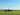 Cowboys on horseback riding slowly in a field of grass