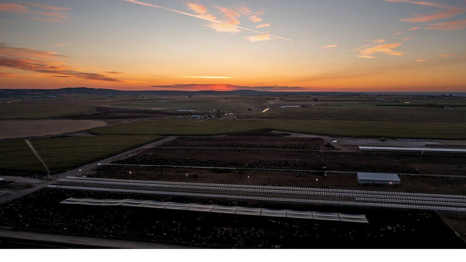 Celebrating Earth Day at Royal Family Farming: Regenerating the Land ...