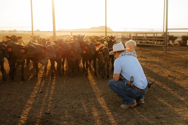 Ranch – Royal Family Farms