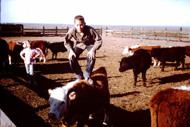 About Royal Family Farms