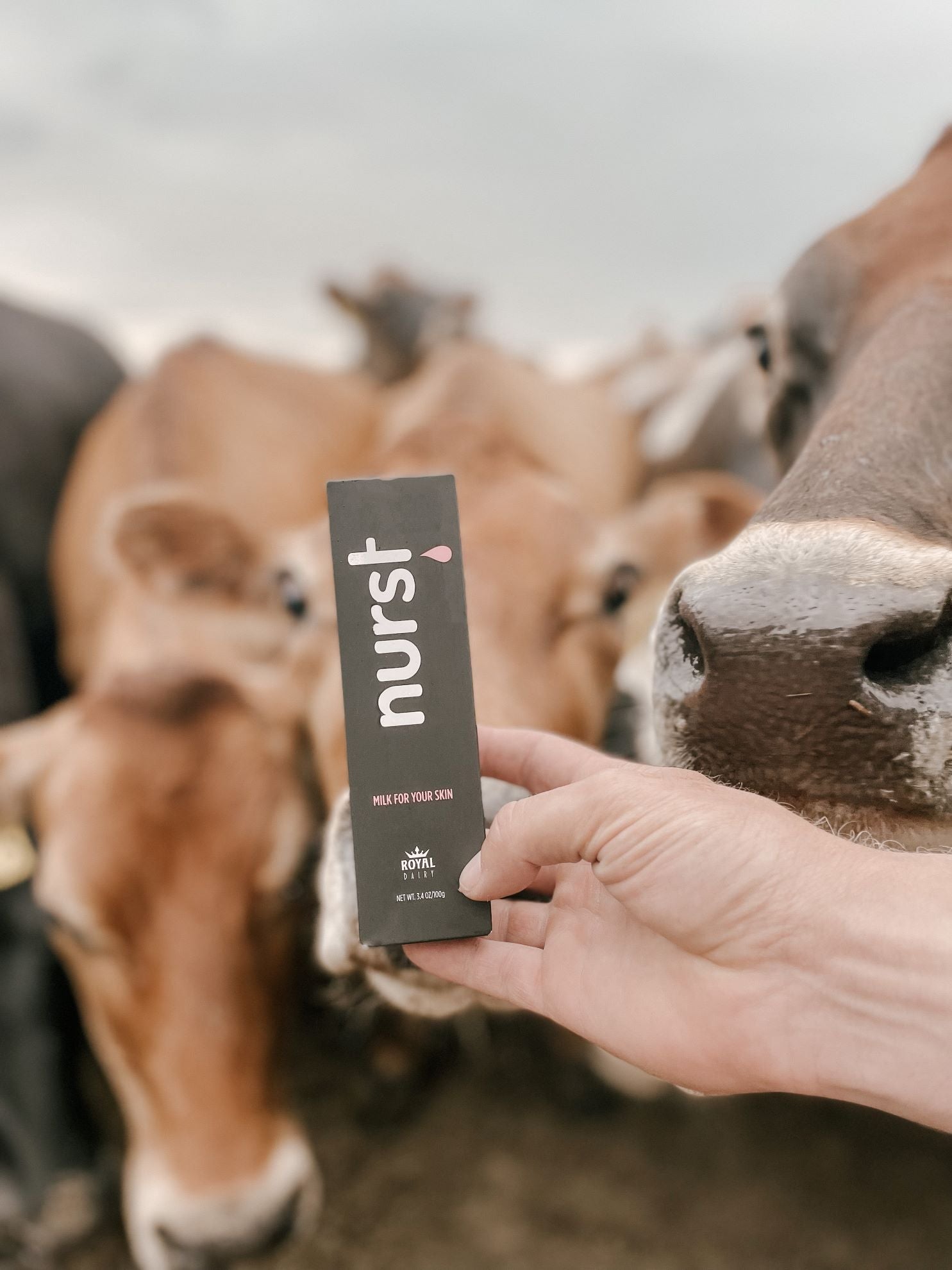Nurst Nurst – Royal Family Farms